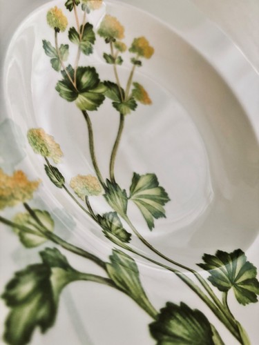 Villeroy boch v b althea - villeroy,