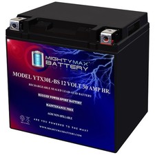 Mighty Max YTX30L-BS Battery