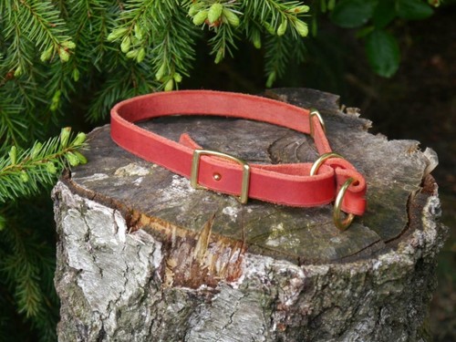 Rotes fettlederhalsband - rotes, m