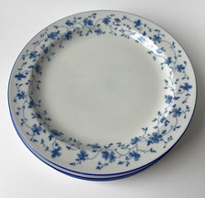 Arzberg Germany Hutschenreuther Gruppe 1382 BLAUBLÜTE Speiseteller Essteller