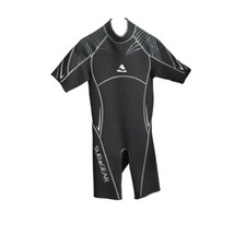 Subgear Definition Nassanzug