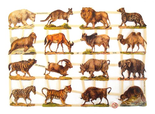 Glanzbilder wildtiere - glanzbilder,,