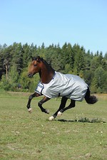 Bucas Power Turnout Light Classic Regendecke Weidedecke silber - Größe 125 - 165