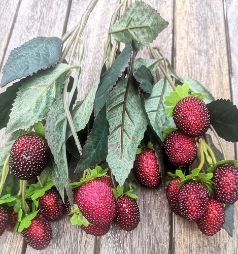 Himbeeren 22cm ast - x,