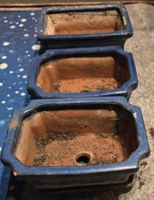 20 Bonsai Schalen*verschiedene