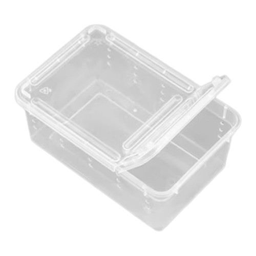 Reptilien-Fütterungsbox
