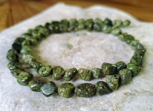 Serpentin snake skin - snake,