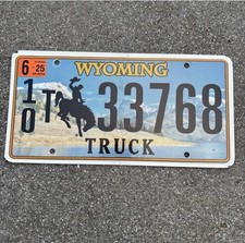 Original US Auto Kennzeichen