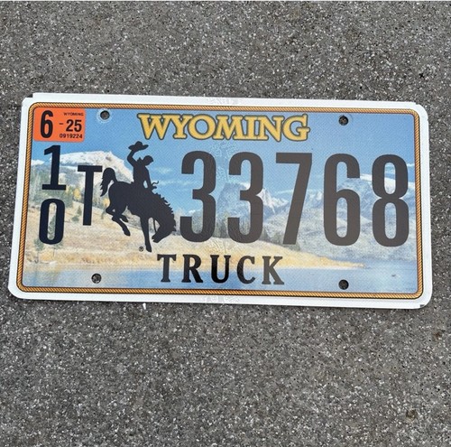 Original auto kennzeichen - us,