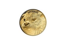Goldmünze mit tier motiv - tier,