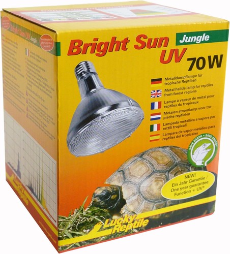 Lucky reptile bright - lucky,
