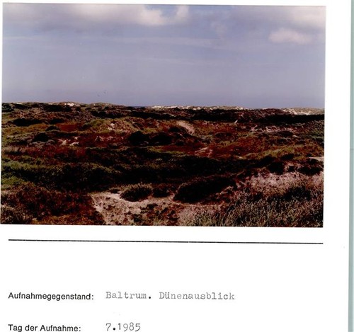 10186302 2985 baltrum - -,