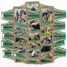 24 Große Zigarrenbanderolen