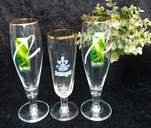 Konvolut biertulpe goldrand - konvolut,