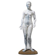 Akupunkturfigur weiblich 45 cm, Anatomie Modell, Anatomische Lehrmittel