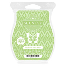 Scentsy Bar Pistachio Ice Cream