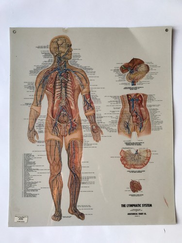 Schulkarte poster plakat - poster,