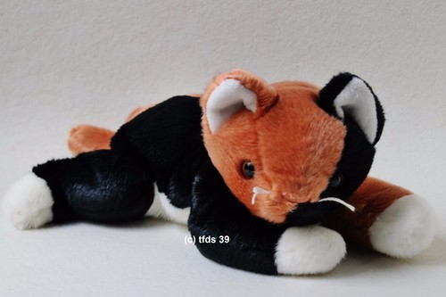 Katze pounc liegend beanie - katze,