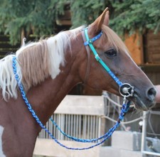 Tolle EINOHRTRENSE mit Strass