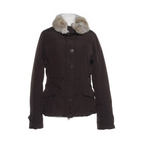 Tommy hilfiger winterjacke - tommy,