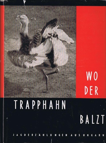 Der trapphahn balzt - der,