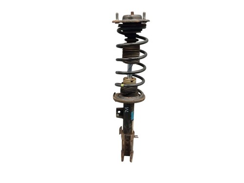 Strut shock absorber - shock, front