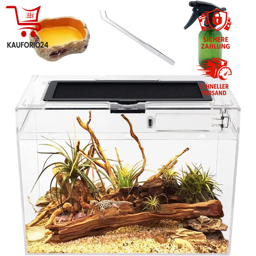 Terrarium komplettset - terrarium,