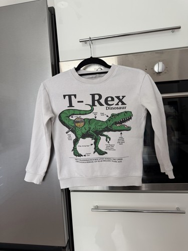 Kinder sweatshirt t rex - h&m,