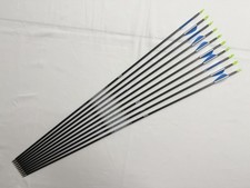 10 x Easton ACE 1206H Serie