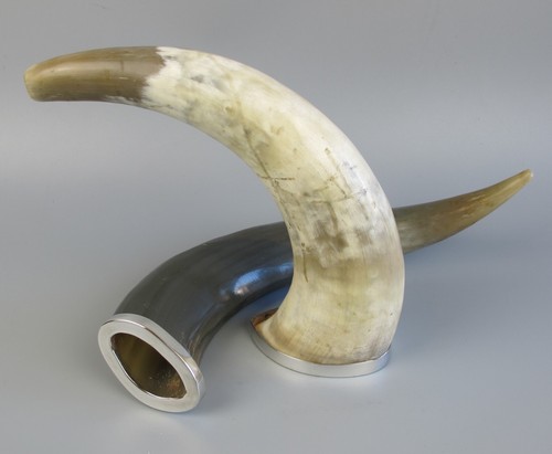 Natürliche horn ornamente - 2,