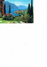 1 x AK color, "Malcesine", Gardasee, Italien, gelaufen