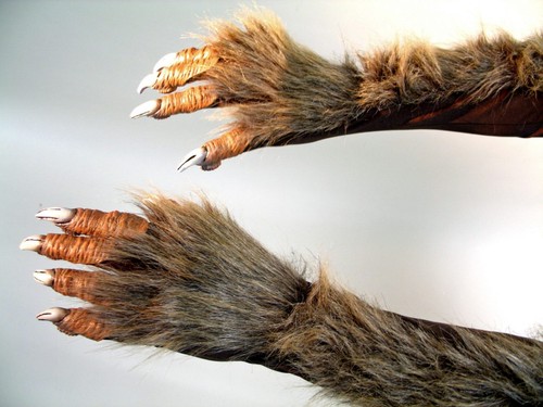 Werwolf krallenhände - werwolf,
