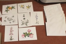Henry R. Mockel Desert Plant Serie 7 Notizkarten mit Umschlägen 5,5 x 4,25