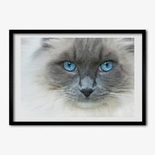 Tulup Bild MDF-gerahmte