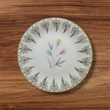 Sammelteller Porzellan Teller