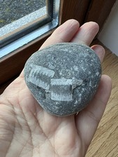 Irischer crinoid - 54,1, mm