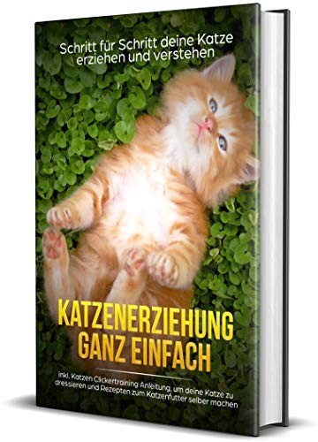 Katzenerziehung leicht