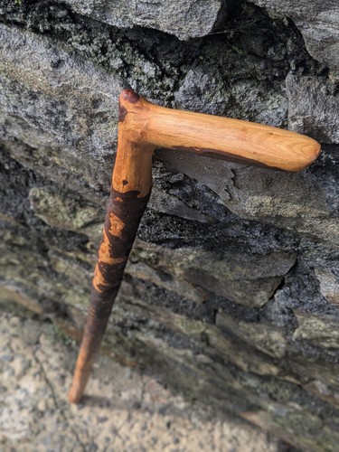 Leichter blackthorn shillelagh - leichter,