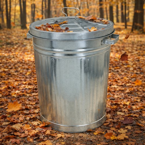 55l oskartonne aschetonne mit - 55l,