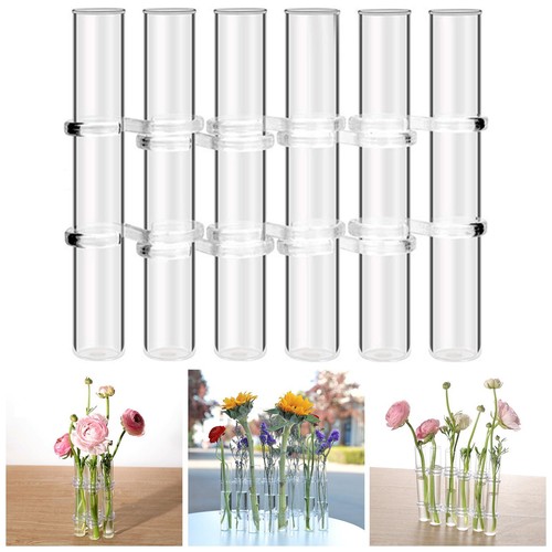 Terrarium blumenvase - terrarium,