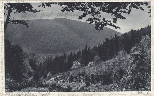 Blick vom jagdhaus wiese - blick,