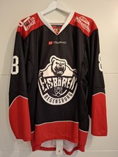 Eisbären Regensburg Eishockey