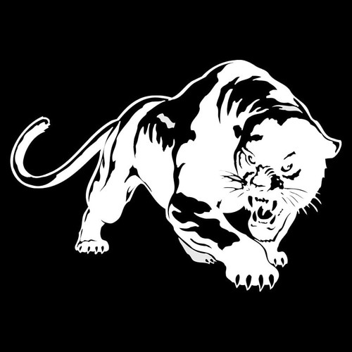 Panther silber 14 x - ,