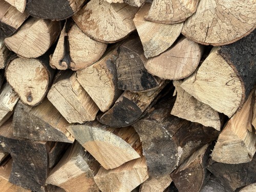 Buche brennholz 30kg kaminholz - buche,
