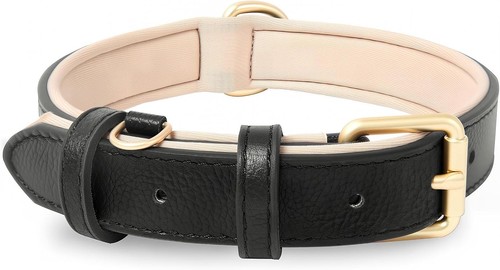 Hundehalsband leder neopren - hundehalsband,