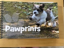 Pawprints - Tage Im Leben