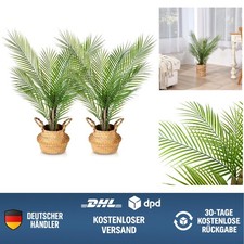 Künstliche Palme 80cm Deko Pflanzen 2er Pack Pflegeleicht für Wohnzimmer Büro