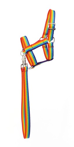 Mustang hobby horse halfter - mustang,