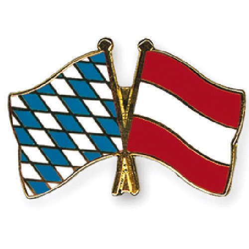 Freundschaftspin