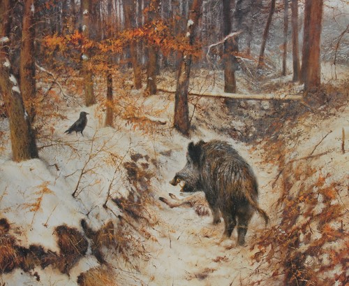 Keiler schwarzwild kunstdruck - keiler,